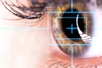 How The Eye Works